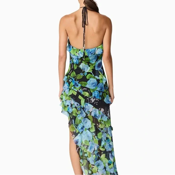 Brand New- Elliatt Briony Asymmetrical Maxi Dress in Black Floral 🦋 Dresses